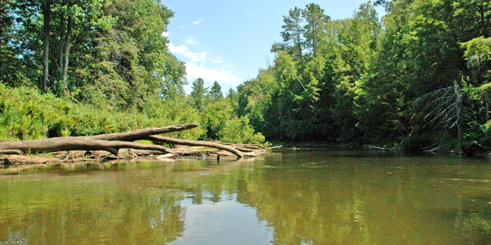 Big Cedar Campground About Us | John and Mellissa Jones