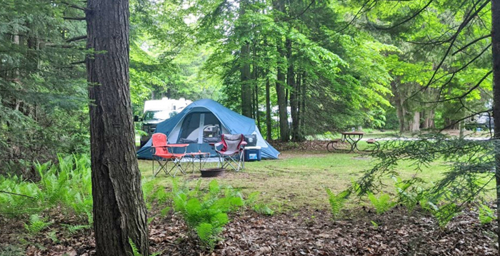 Big Cedar Campground Policies | Big Cedar Campground Germfask, MI Pet Policies